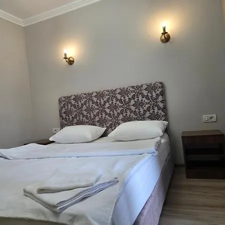 Pensiunea La Iani Guest house