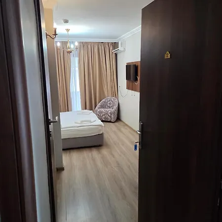 ゲストハウス Pensiunea La Iani