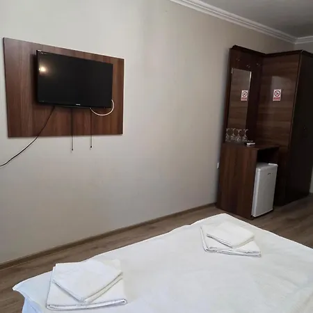 ゲストハウス Pensiunea La Iani 3*