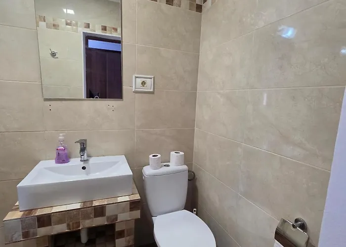 Pensiunea La Iani 3*