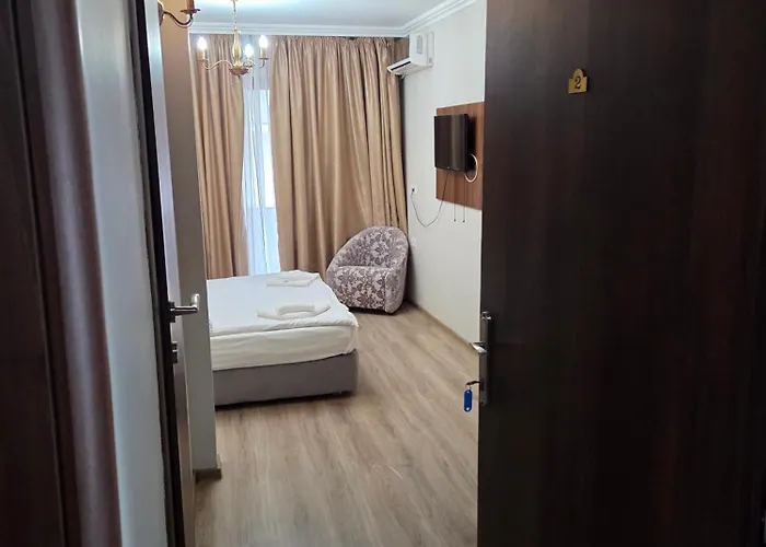 ゲストハウス Pensiunea La Iani