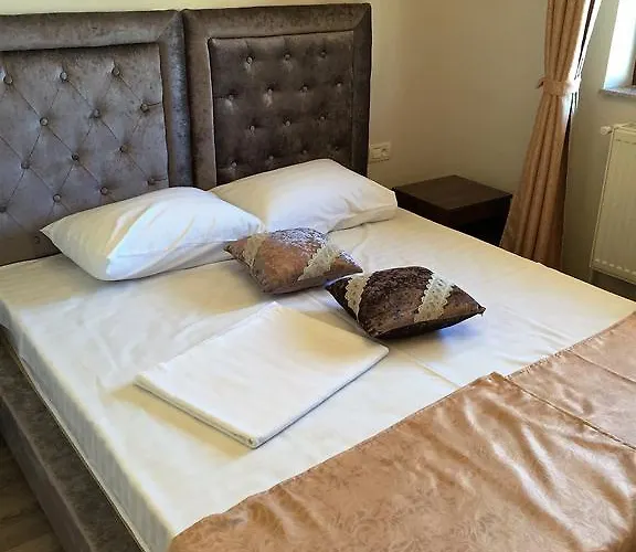 ゲストハウス Pensiunea La Iani