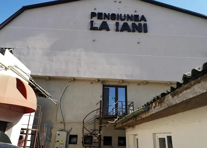 Pensiunea La Iani 3*