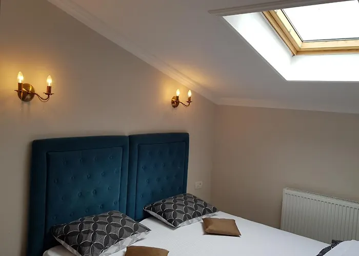 Pensiunea La Iani ゲストハウス 3*